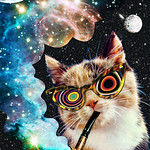 CoolCat5000